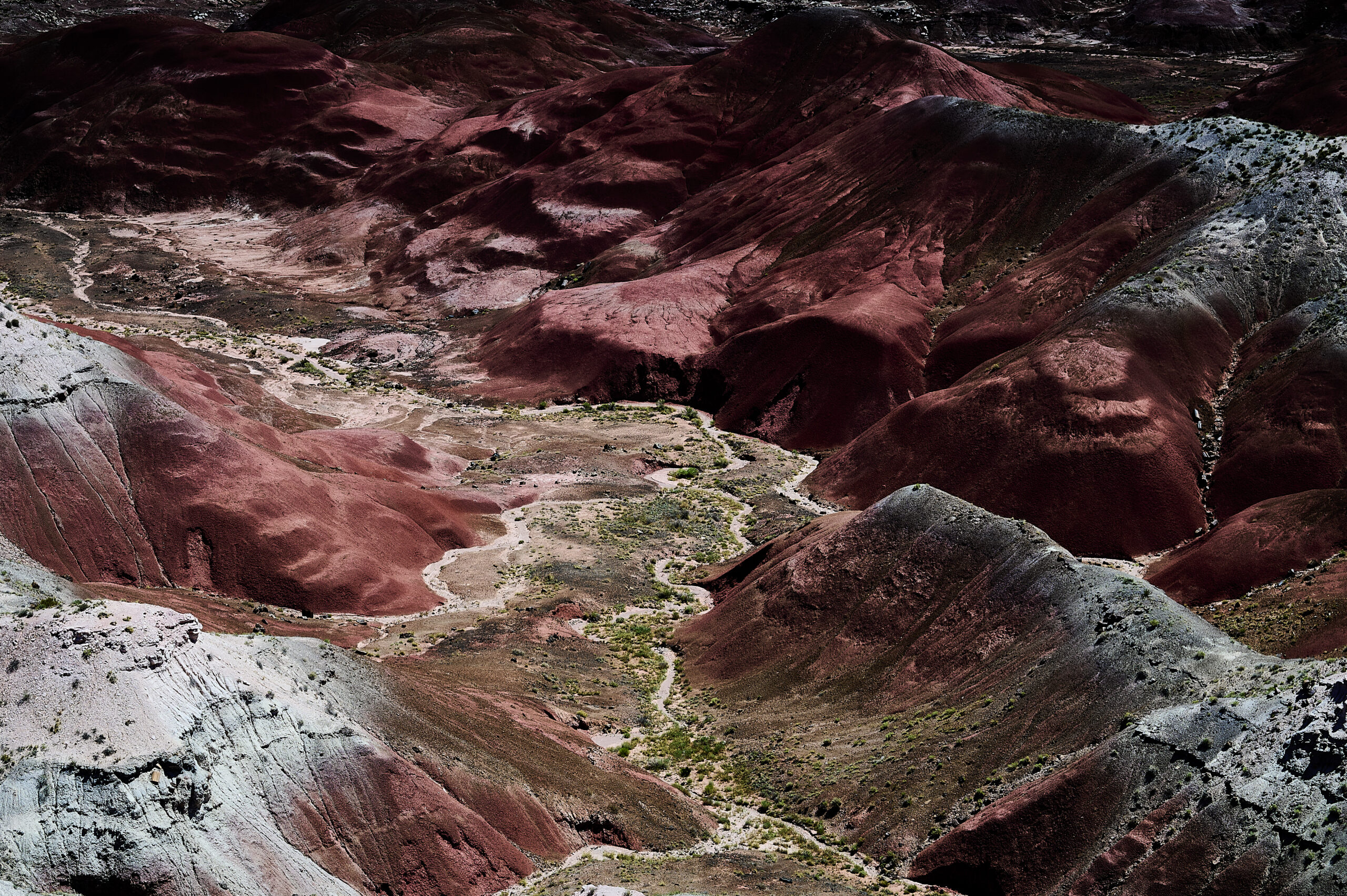 Painted Desert
