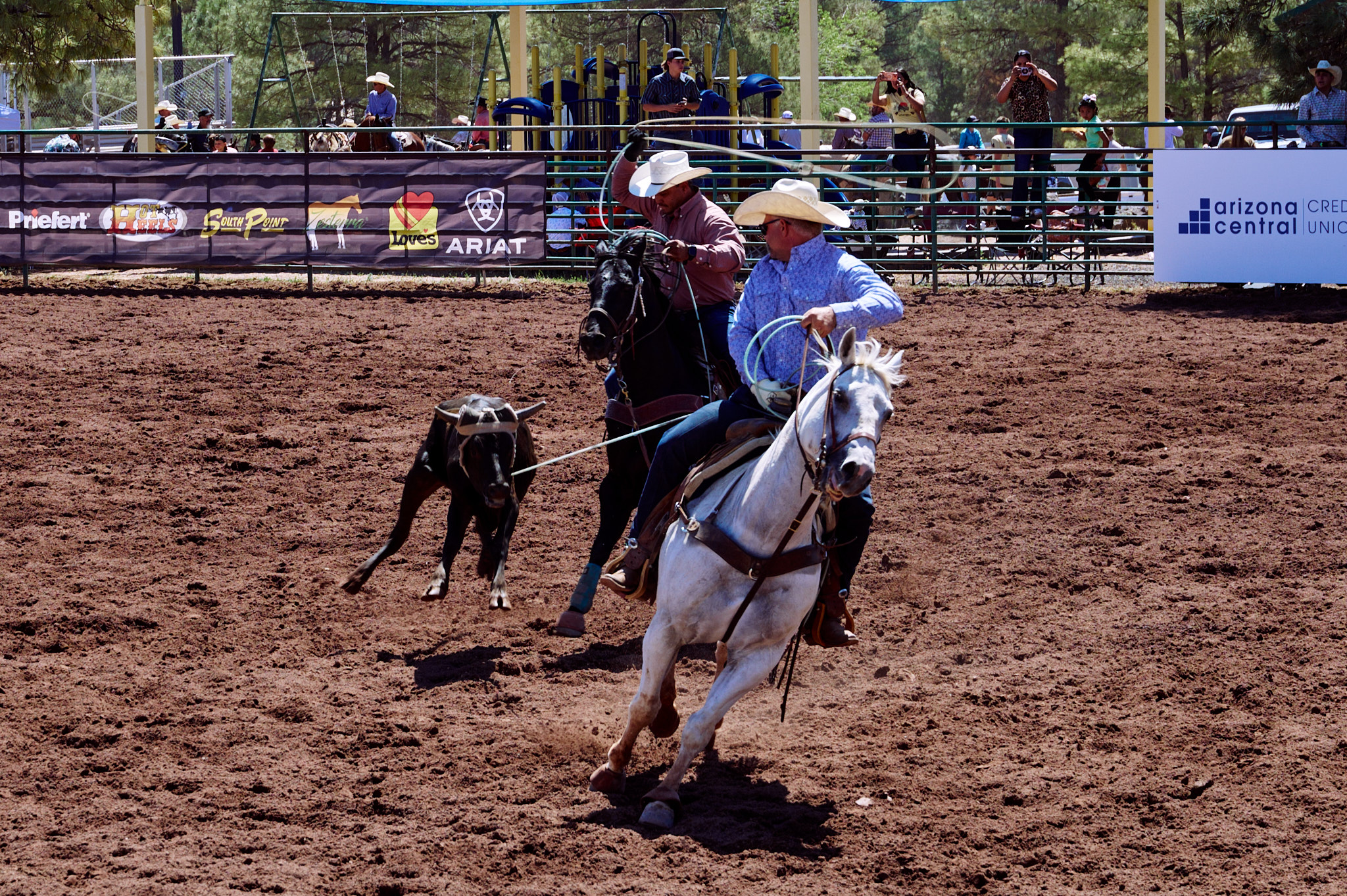 Show Low Rodeo