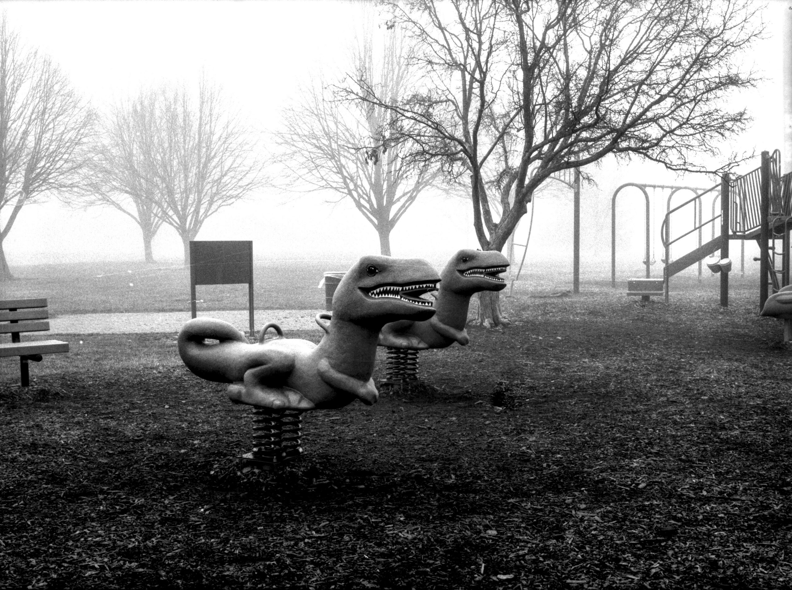 The Sound of Fog